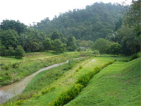 pic1