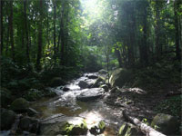 pic2