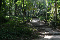 path