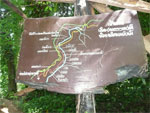 paths